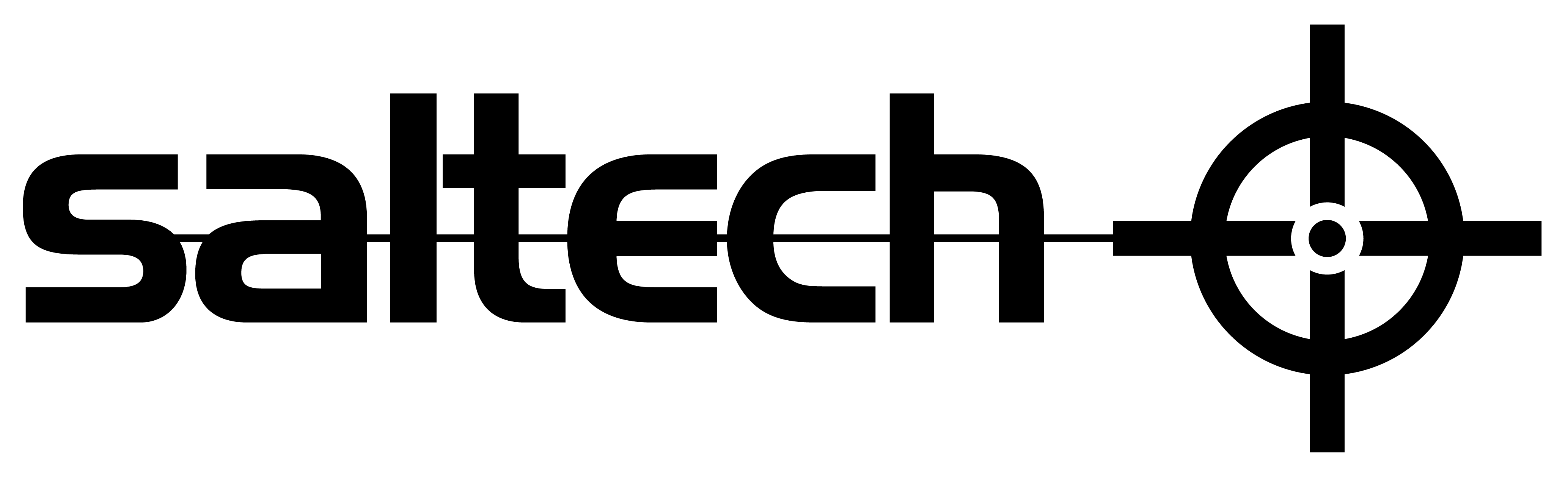 saltech AG