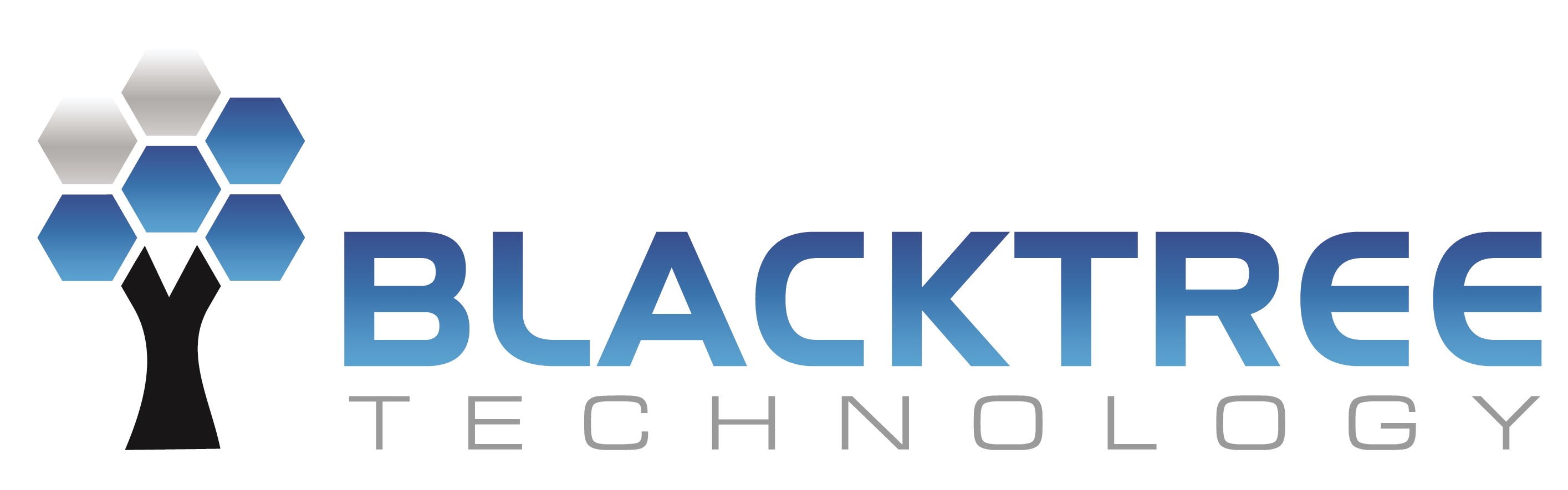 Blacktree Technology