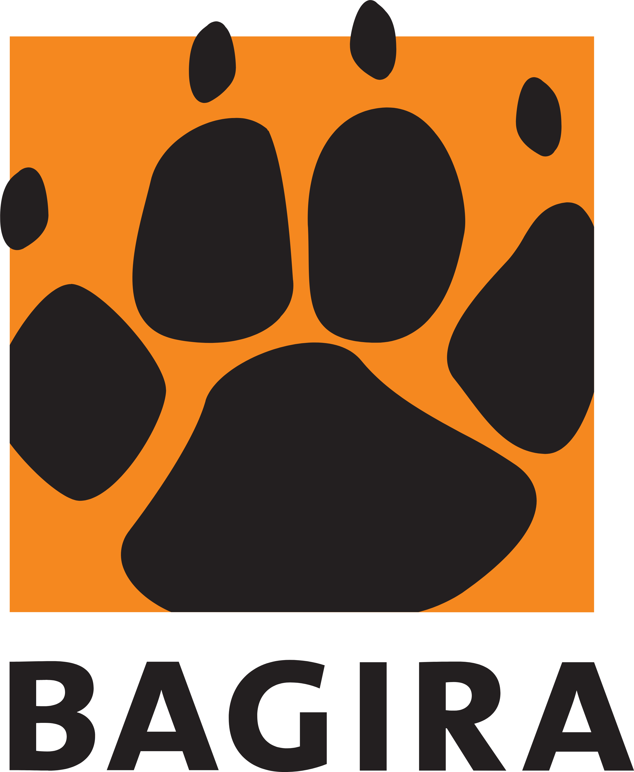 Bagira Systems B.V