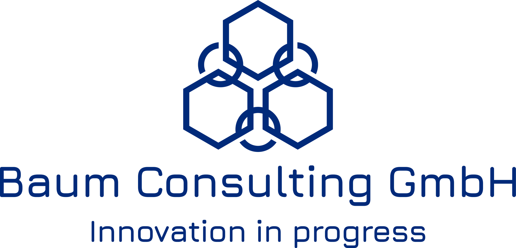 Baum Consulting GmbH