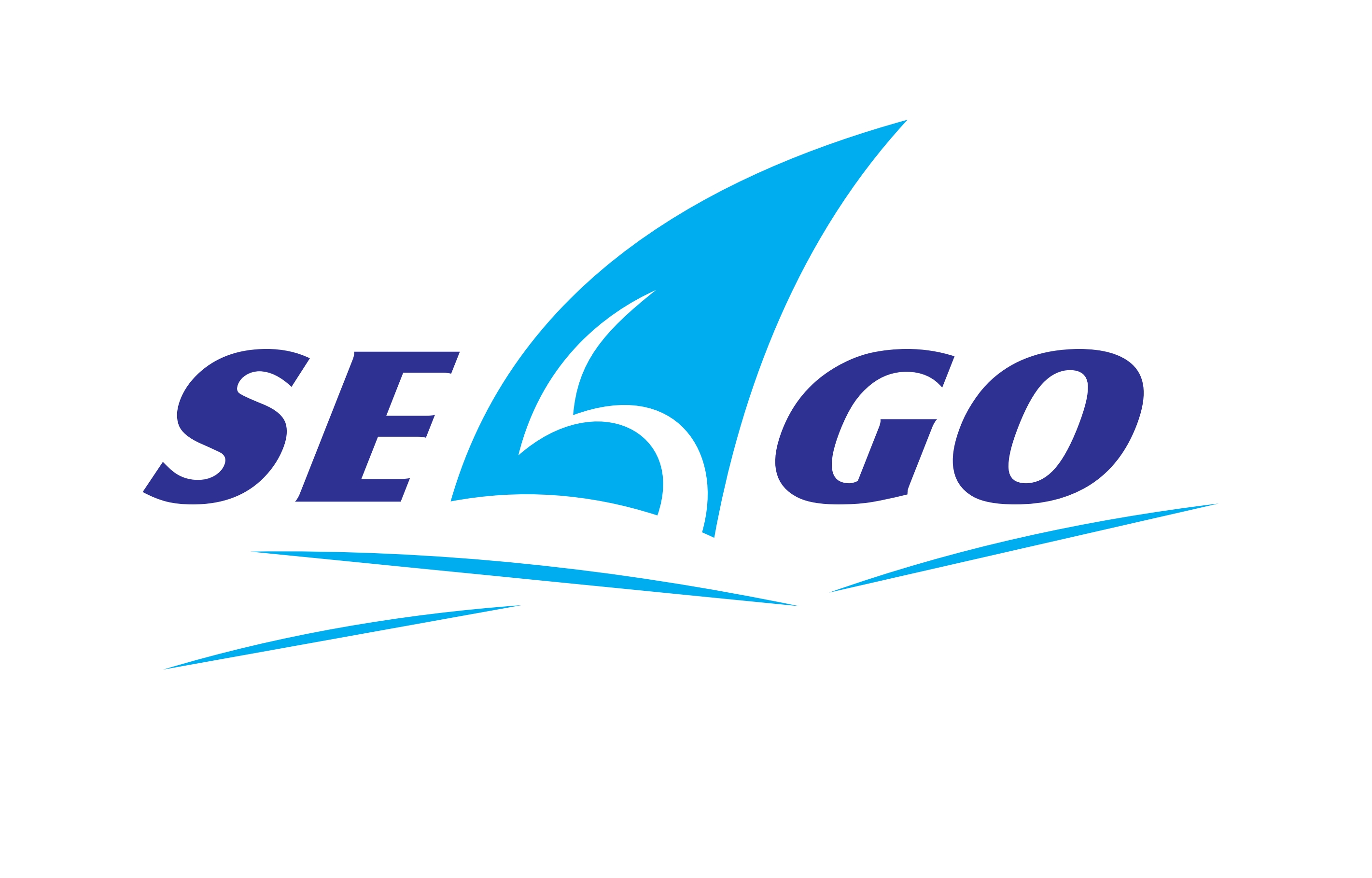 Ningbo Seago Electric Co.,Ltd