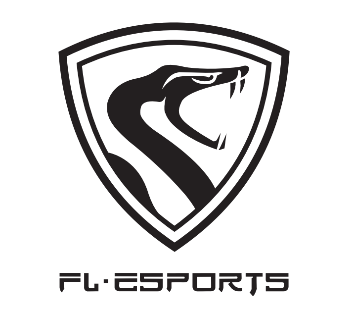 DONGGUAN FL.ESPORTS ELECTRONICS CO.,LTD