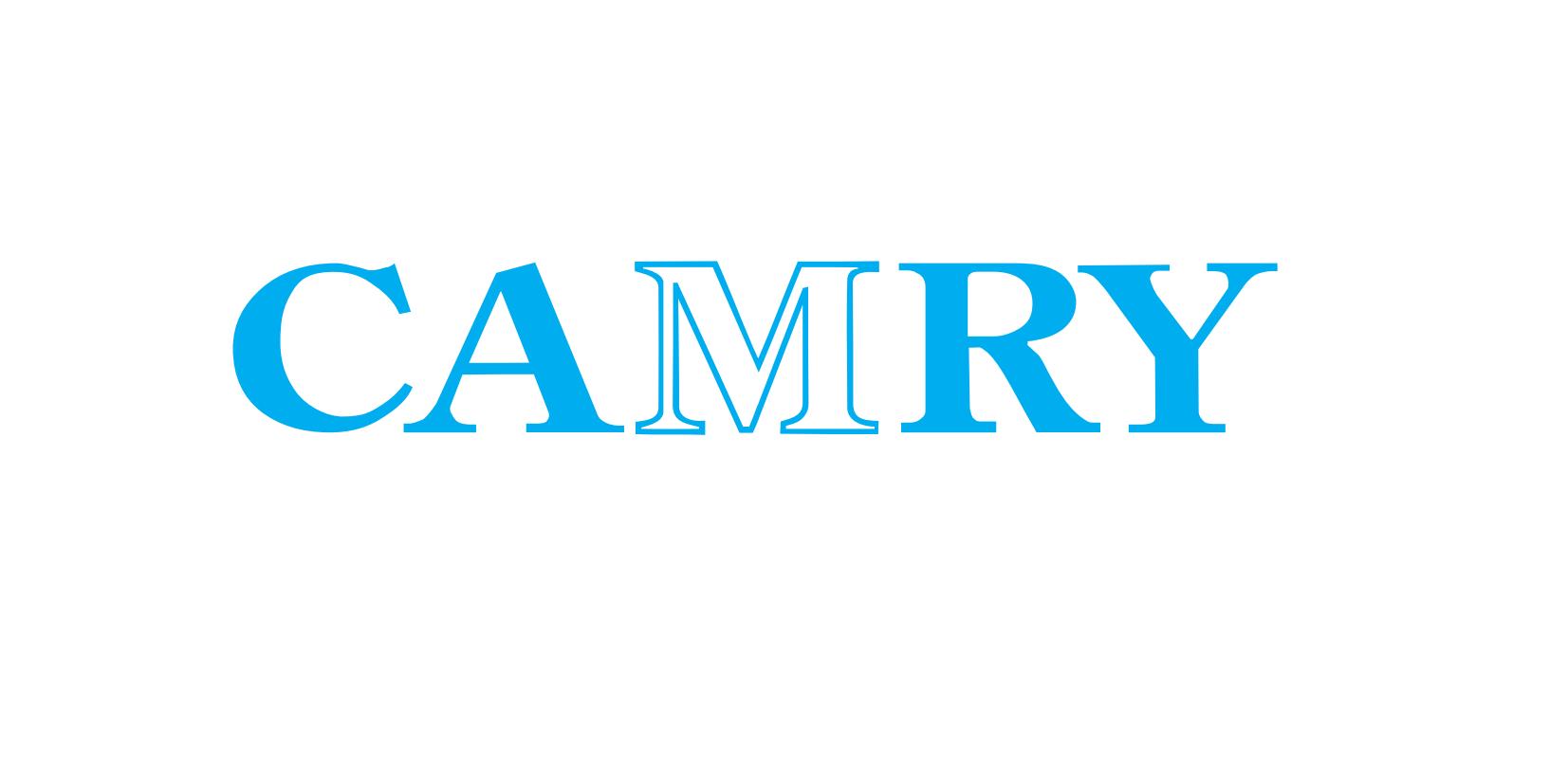 Zhongshan Camry Electronic Co.,Ltd 